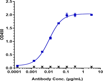 Anti-human FcRn C317(Rozanolixizumab Biosimilar)