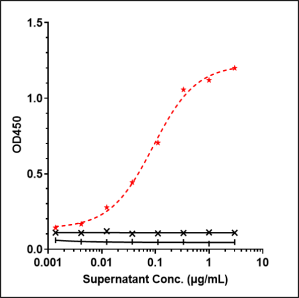 Anti-human CD19 (Tafasitamab Biosimilar)