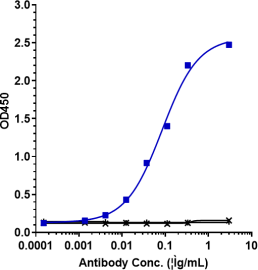 Anti-human IL-6 / IFNb2 (CSTRI patent Anti-IL-6 Biosimilar)