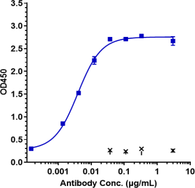 Anti-human DLL4 (Enoticumab Biosimilar)