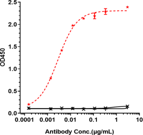 Anti-human ROR1 (Zilovertamab vedotin Biosimilar)