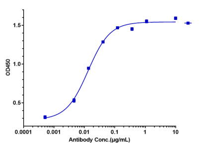 Anti-human CD20 (TRU-015 Biosimilar)