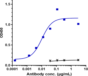 Anti-human ERBB1 / EGFR / HER1 (Zalutumumab Biosimilar)