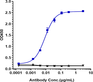 Anti-human Siglec-2 / CD22 (Pinatuzumab Biosimilar)
