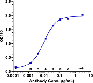 Anti-human TNFRSF5 / CD40 (Selicrelumab Biosimilar)