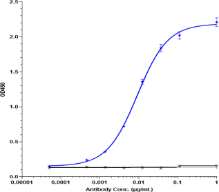 Anti-human TNFRSF5 / CD40 (Dacetuzumab Biosimilar)
