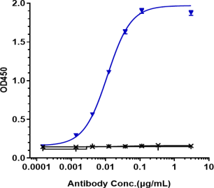 Anti-human FOLR1 / FRA (Mirvetuximab Biosimilar)