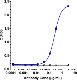 Anti-human NaPi2b / SLC34A2 (Upifitamab Biosimilar)