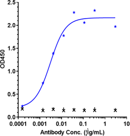 Anti-human VEGF (Bevacizumab Biosimilar)