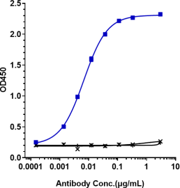 Anti-human PDCD1 / PD-1 / CD279 (Sintilimab Biosimilar)