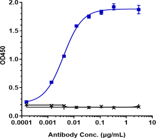 Anti-human VEGFC (VGX100 Biosimilar)