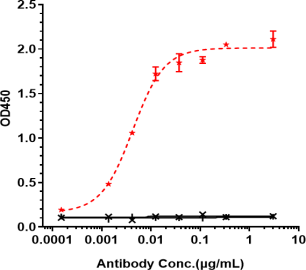Anti-human ERBB2 / HER2 / CD340 (Disitamab Biosimilar)