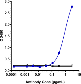 Anti-human Amyloid Beta (Aducanumab Biosimilar)