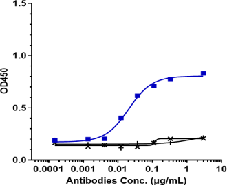 Anti-human CALCRL / CGRPR (Erenumab Biosimilar)