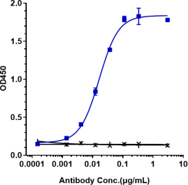 Anti-human TIGIT (Tiragolumab Biosimilar)