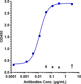 Anti-human DLK1 (LIV-1205 Biosimilar)