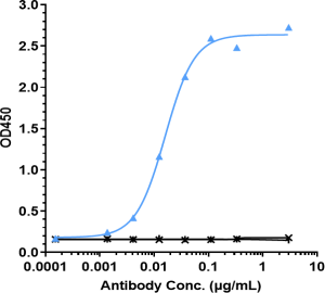 Anti-human IL-6 / IFNb2 (Medarex patent Anti-IL-6 Biosimilar)