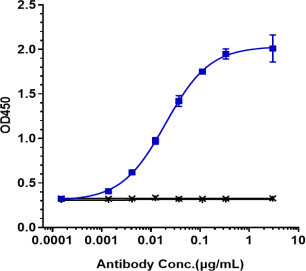 Anti-human CD19 (Denintuzumab-MMAF Biosimilar)