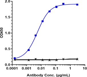Anti-human NRP1 / VEGF165R / CD304 (Vesencumab Biosimilar)