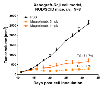 Anti-human CD47 (Magrolimab Biosimilar)