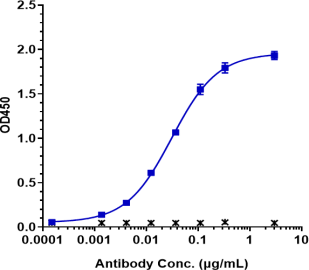 Anti-human FcRn (Orilanolimab Biosimilar)