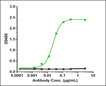 Anti-human IL-6 / IFNb2 (Siltuximab Biosimilar)