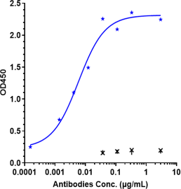 Anti-human B7-H1 / PD-L1 / CD274 (Atezolizumab Biosimilar)