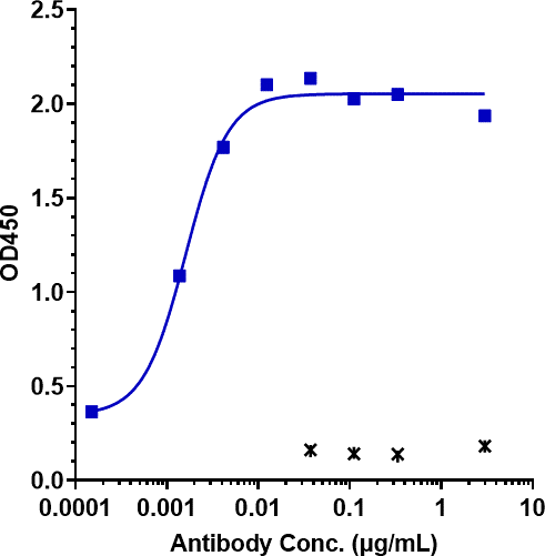 Anti-human CLDN6 (IMAB027 Biosimilar)