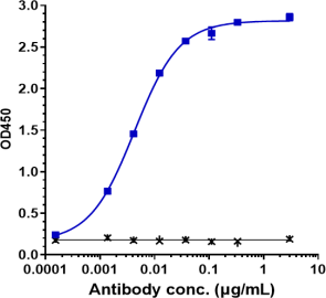 Anti-human Complement C2 (ARGX-117 Biosimilar)