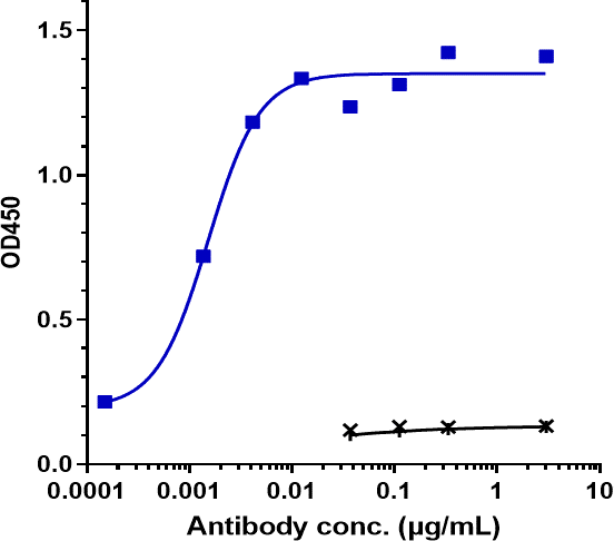 Anti-human ERBB1 / EGFR / HER1 (Necitumumab Biosimilar)