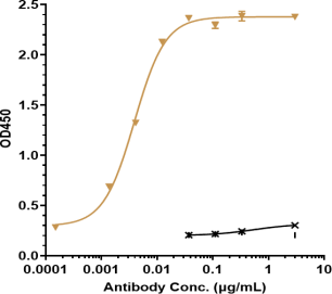 Anti-human PDCD1 / PD-1 / CD279 (Pembrolizumab Biosimilar)