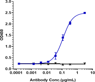Anti-human ROR2 (Ozuriftamab Biosimilar)