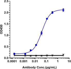 Anti-human HGFR / c-Met (Telisotuzumab Biosimilar)