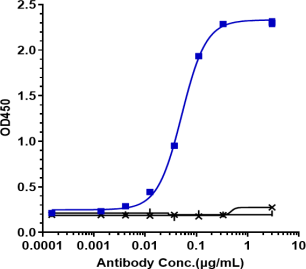 Anti-human TSLP (Tezepelumab Biosimilar)