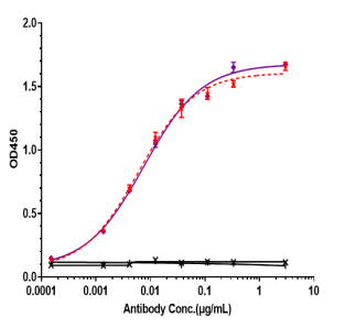Anti-human TNFSF7 / CD27L / CD70 (Vorsetuzumab mafodotin Biosimilar)