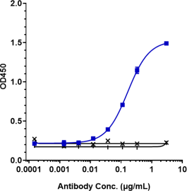 Anti-human IL-3Ra / CD123 (Talacotuzumab-MMAE Biosimilar)