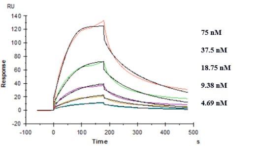 Anti-human TREM2 (PY314 Biosimilar)