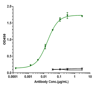 Anti-human CD79b (Iladatuzumab vedotin Biosimilar)