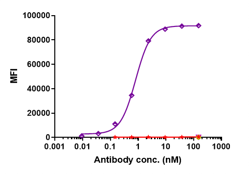 Anti-human CD38 (Isatuximab Biosimilar)