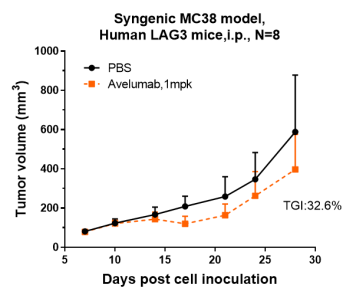 Anti-human B7-H1 / PD-L1 / CD274 (Avelumab Biosimilar)