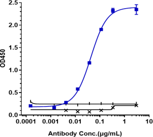 Anti-human ERBB3/ HER3 (Patritumab deruxtecan Biosimilar)