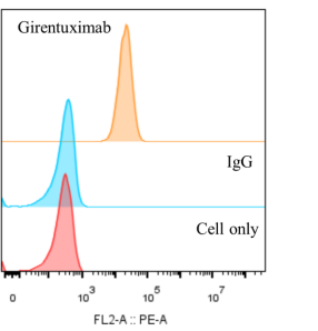 Anti-human CA9 / CAIX (Girentuximab Biosimilar)