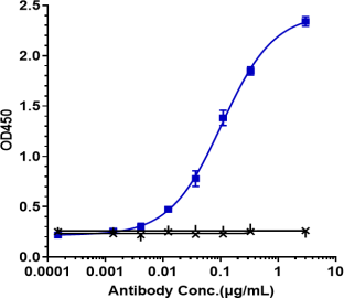Anti-human HGFR / c-Met (Telisotuzumab vedotin Biosimilar)