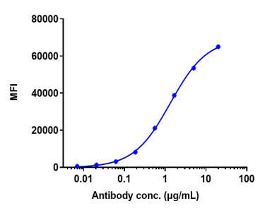 Anti-human CD20 (Rituximab Biosimilar)