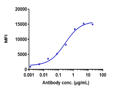 Anti-human TNFSF7 / CD27L / CD70 (Cusatuzumab Biosimilar)