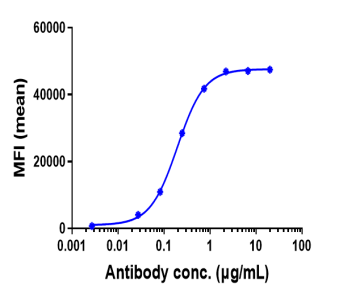 Anti-human NRP1 / VEGF165R / CD304 (Vesencumab Biosimilar)
