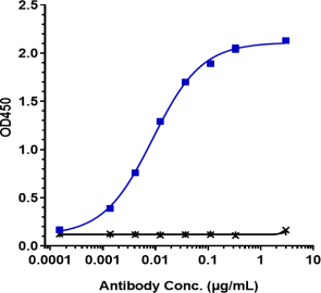 Anti-human Siglec-2 / CD22 (Pinatuzumab vedotin Biosimilar)