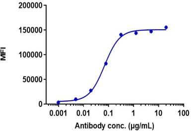 Anti-human CDH17 / Cadherin-17 (10C12 Biosimilar)
