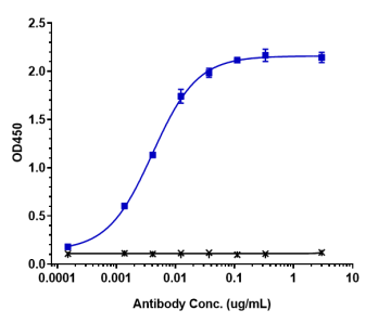 Anti-human Nectin-4 (Enfortumab vedotin-ejfv Biosimilar)