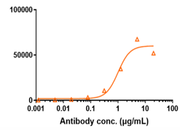 Anti-human NaPi2b / SLC34A2 (Lifastuzumab vedotin Biosimilar)
